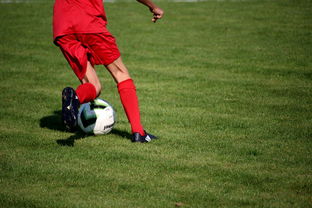 爱游戏娱乐-体育赛事对本地旅游消费的带动作用,体育赛事对城市旅游的促进作用