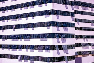 爱游戏下载-体育赛事风险管控体系建设，体育赛事风险防范