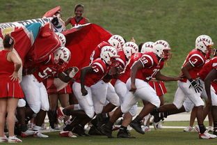 爱游戏 电竞-全国青少年长跑赛在南京掀起跑步热潮，青少年长跑标准