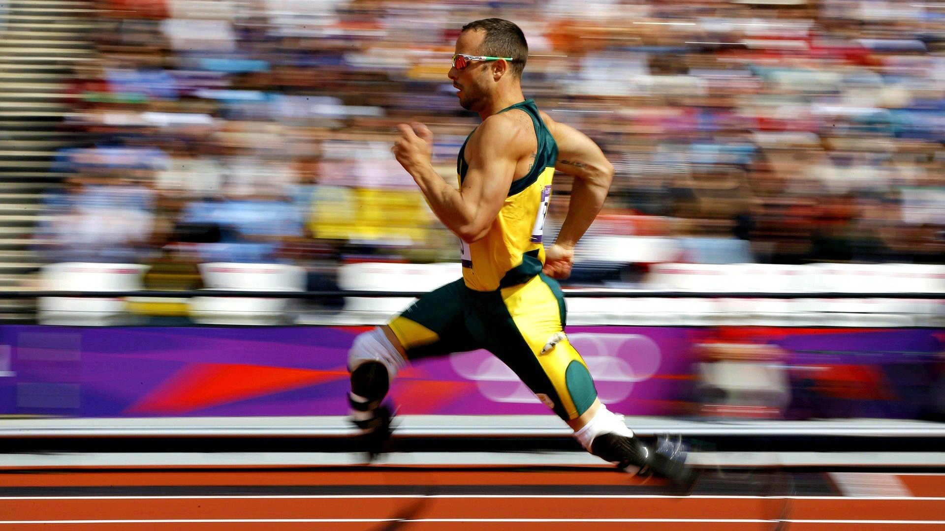 【赛后点评】专家解析Judge单季全垒打破纪录的意义,全垒打记录